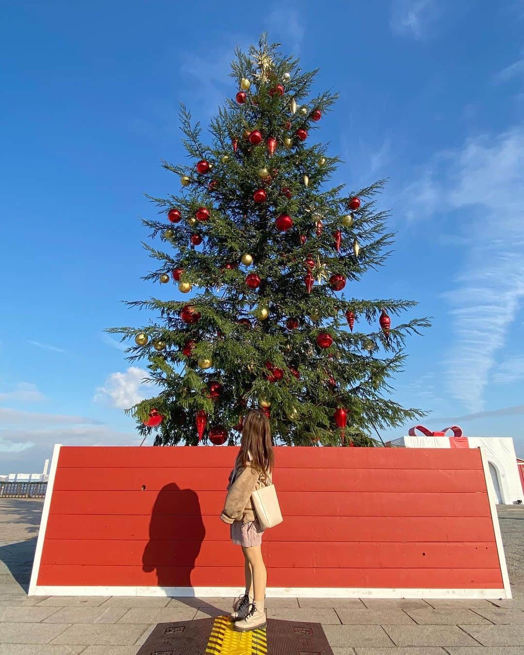 のインスタグラム：「🎄」