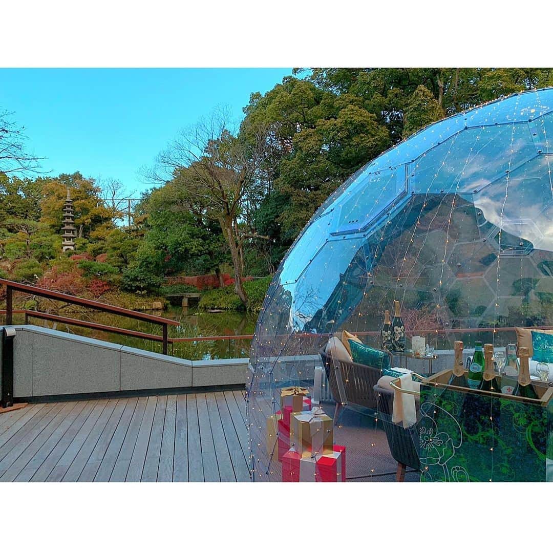 百合華さんのインスタグラム写真 - (百合華Instagram)「京都にある Fourseasons Hotel Kyoto の『The Lounge ＆ Bar』にてアフタヌーンティータイム🎄💕  トナカイさんや雪だるまのスイーツがとっても可愛らしい期間限定のクリスマスアフタヌーンティーをいただきました🥂✨💋  お天気にも恵まれて清々しい快晴☀️  約800年にもおよぶ豊かな歴史を紡いできた名庭「積翠園」と、とっても大きなクリスマスツリーを眺めながら聖なるひとときを過ごす事が出来ました💝  #japan #日本 #kyoto  #京都 #fourseasonshotel  #fourseasonshotelkyoto  #フォーシーズンズホテル京都  #afternoontea  #afternoonteatime  #xmasafternoontea  #christmasafternoontea  #クリスマスアフタヌーンティー #christmas  #christmastree  #christmaspresent  #christmascake  #xmas #xmastree  #xmaspresent  #xmascake  #クリスマス #期間限定 #快晴」12月25日 14時44分 - yurika.lovelily