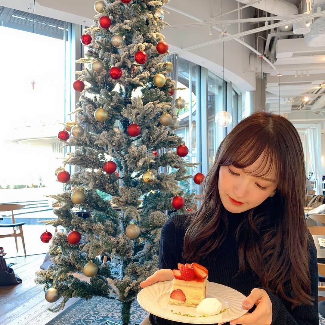 あかねぴさんのインスタグラム写真 - (あかねぴInstagram)「.﻿ ﻿ christmastree🎄❤️﻿ ﻿ 東京ミッドタウン日比谷の6階にあるカフェ﻿ drawing house of hibiya 🍰﻿ ﻿ ケーキとってもおいしいし﻿ 景色もきれいだし﻿ 居心地が良すぎでした...☺️💓﻿ ﻿ 今度はランチか、ディナーしたいっ🍴﻿ ﻿ ﻿ #cafe #sweets #cake #teatime #lunch﻿ #drawinghouseofhibiya #hibiya #xmas﻿ #christmastree #strawberry #photo #me﻿ #日比谷カフェ #東京ミッドタウン日比谷﻿ #カフェ #クリスマスツリー #ケーキ #お茶」12月25日 20時16分 - akanepi0426