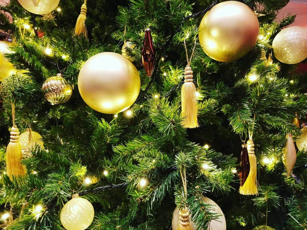のインスタグラム：「merry christmas✨🎄✨ インスタライブ観てくれた皆さんありがとう❤ 皆があったかいところであったかい気持ちに包まれていますように。  #friedprideshiho #Shiho #merrychristmas #🎄 #メリークリスマス #mayyourdaysbemerryandbright」