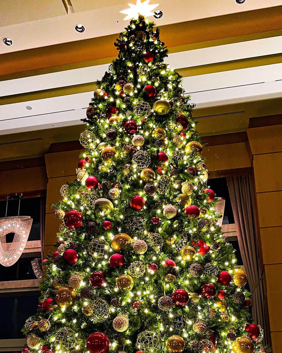 小柳津林太郎さんのインスタグラム写真 - (小柳津林太郎Instagram)「Merry Christmas! Happy Holidays! Hope you all have a wonderful one🎄  ご飯は銀座の歌舞伎座の裏にある、スモールワンダーランドで。宿泊は年一のご褒美ということで、リッツカールトンさんにお世話になりました。  来年はもっとがんばるぜよ。  #クリスマス #christmas」12月25日 20時13分 - rinsta_gram1002