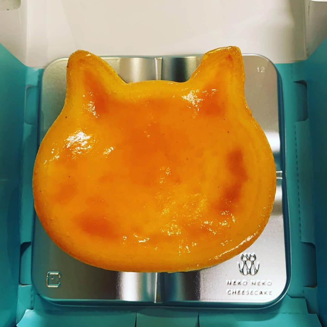 takegaeruのインスタグラム：「今年も無事仕事納め 帰省途中で見つけたにゃんこチーズケーキです😸 Merry Christmas❗️」