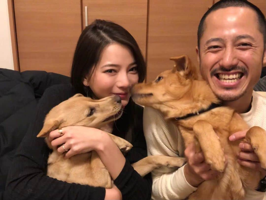 野澤麗花のインスタグラム：「Merry Christmas from our family to yours🎄 クリスマス感も、おしゃれさも、まとまりもないけど、私たちらしい家族写真👨‍👩‍👧‍👧 皆様すてきな年末を🌙❤️」