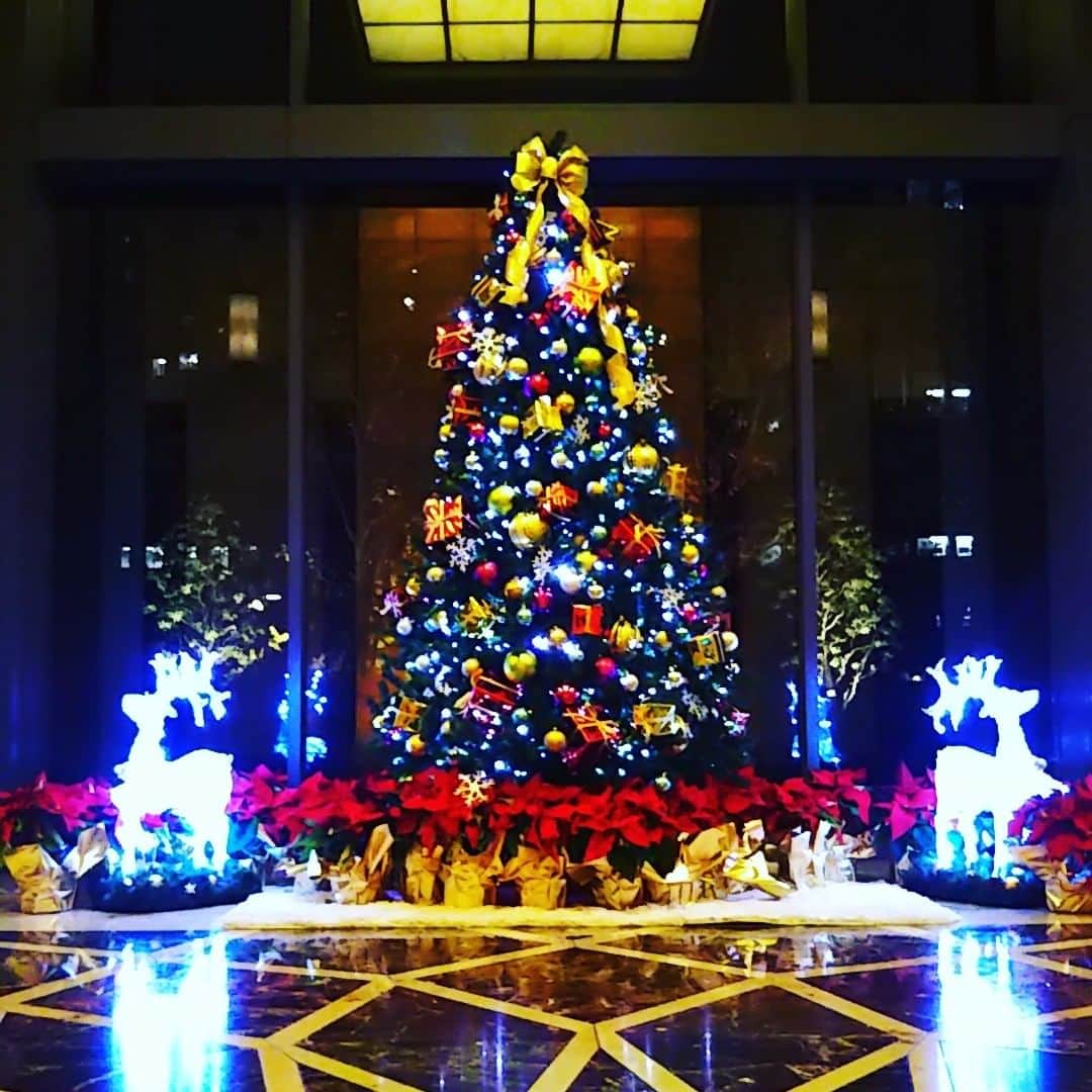 宮崎文子のインスタグラム：「🍀location🍀  12月の初旬。 今年から勉強を始めた結婚式の司会レッスンの最終日＆撮影日。  朝からスタジオで本格的な撮影📷 その後レッスンがようやく修了となりました！  幸せのお手伝いがたくさんできますように✴  #東京ツリー散歩 #エンジェルジップ #wedding」