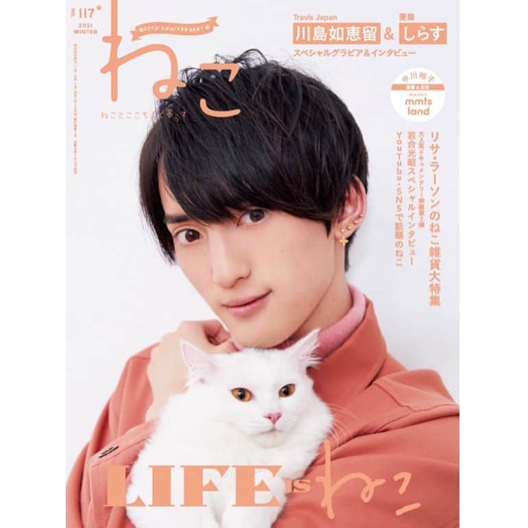 ねこのインスタグラム