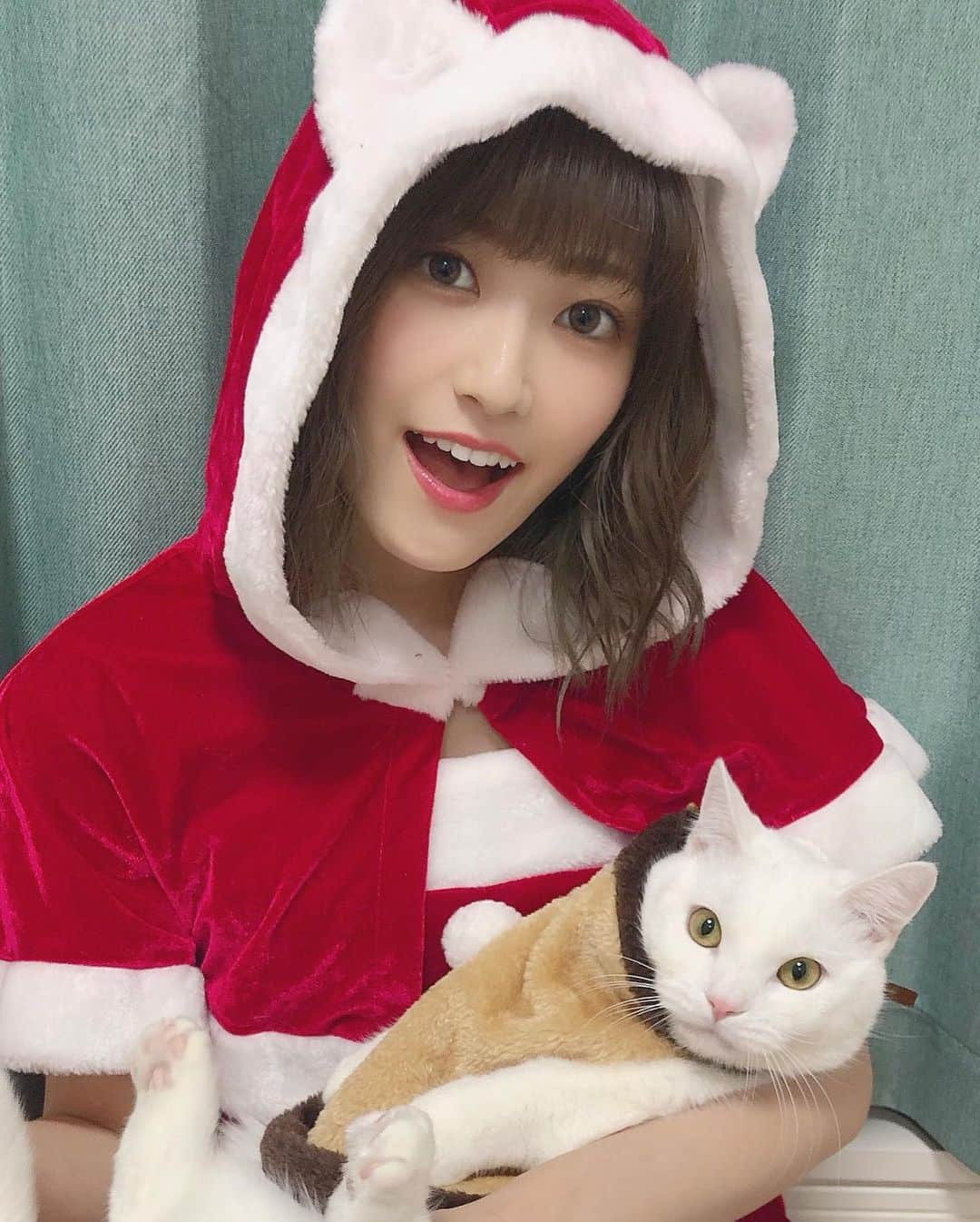 朝日花奈さんのインスタグラム写真 - (朝日花奈Instagram)「Merry Xmas🎄🔔  みなさんは、どのようにお過ごしですか？☺︎  昨日で、てとくんは1歳になりました🐈💕 テトナカイ。  #メリークリスマス #merrychristmas #クリスマス #christmas #サンタコス #猫 #cat #kitty #マンチカン」12月25日 15時04分 - a_kana0713