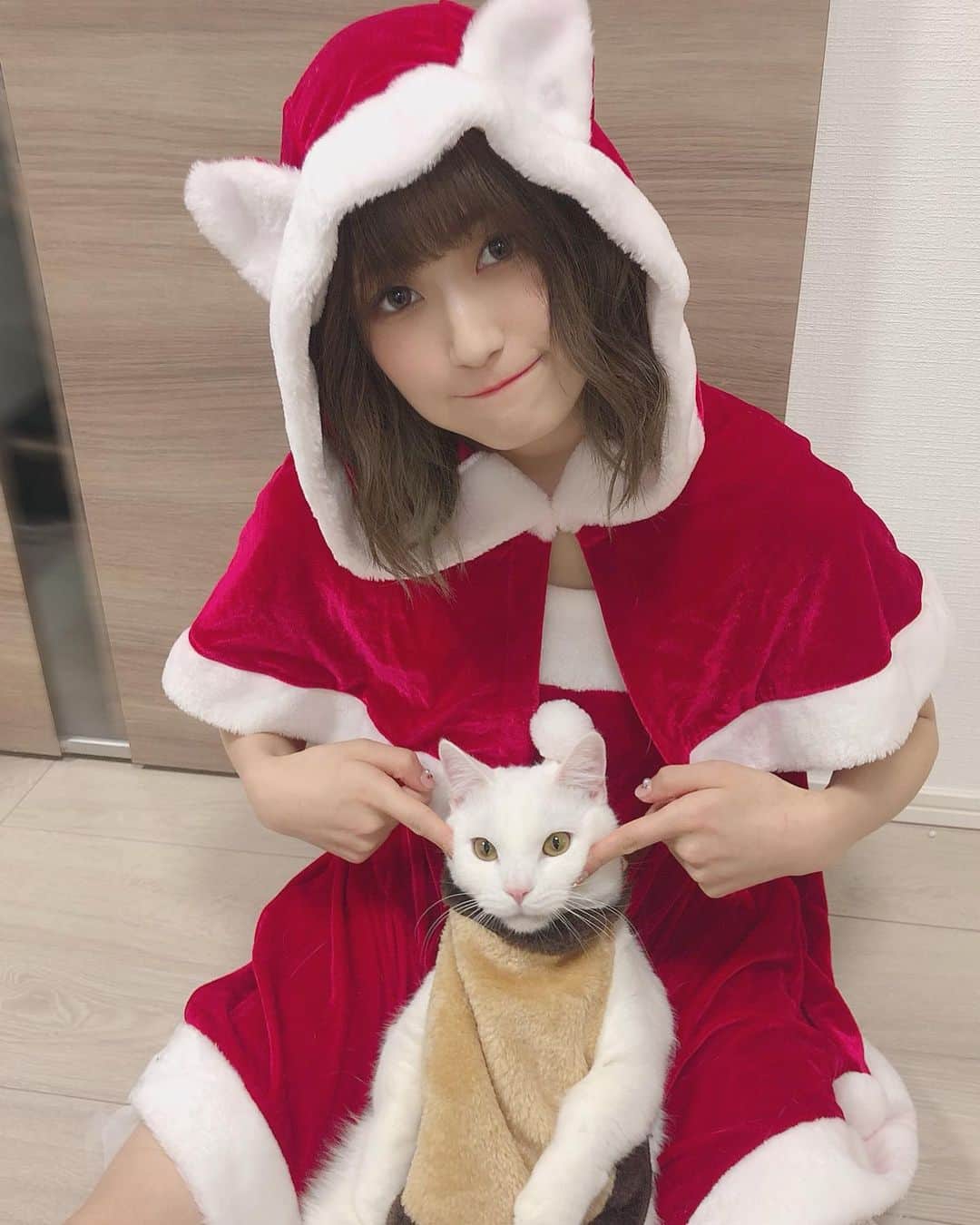 朝日花奈のインスタグラム：「Merry Xmas🎄🔔  みなさんは、どのようにお過ごしですか？☺︎  昨日で、てとくんは1歳になりました🐈💕 テトナカイ。  #メリークリスマス #merrychristmas #クリスマス #christmas #サンタコス #猫 #cat #kitty #マンチカン」