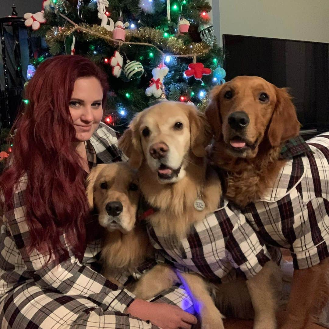 モヒートさんのインスタグラム写真 - (モヒートInstagram)「Merry Christmas to all and to all a good night ❤️🎄#christmasjammies #dogmom #christmaseve #christmas #merrychristmas #christmas2020 #dogsofinstagram #dogsofinsta #dogs #goldenretriever #goldens_ofinstagram #dogsofcle #dogsofcleveland」12月25日 15時22分 - mojito_rose_family