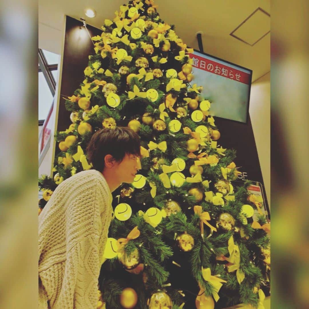 加藤清史郎さんのインスタグラム写真 - (加藤清史郎Instagram)「・ May your Christmas be filled with plenty of joy and happiness.  あなたのクリスマスが、沢山の喜びと幸せで満ちたものになりますように。  #可愛いツリーを見つけたよ #xmas  #加藤清史郎」12月25日 15時22分 - kato_seishiro_official