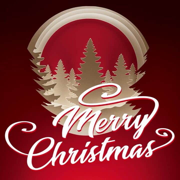 ジェオックスのインスタグラム：「Merry Christmas from Geox!🎄We wish you that this day can bring you serenity, peace and that your faces can be embraced by warm smiles after such a tough year. Happy Holidays!」