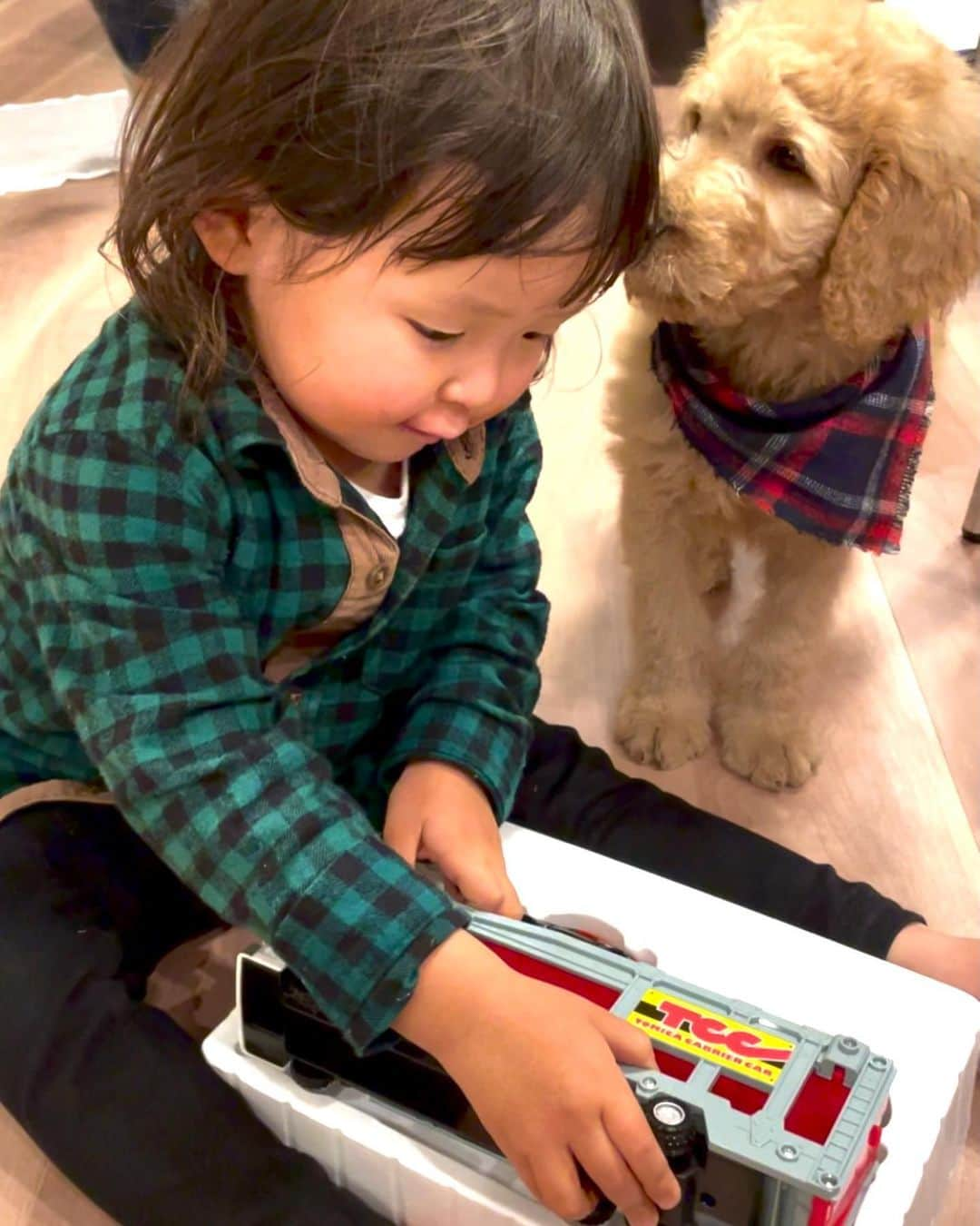 mirayさんのインスタグラム写真 - (mirayInstagram)「夫サンタ🎅からりこうたチューイにプレゼント🎁👨‍👧‍👦🐶💓  好きなものをあかねちゃんから何となく調査しておいて夫と前日におもちゃ売り場へ💓 喜ぶだろうな〜ってワクワクしながら本当楽しかった🤣💕 そしたら本当にめちゃくちゃ喜んでくれてこちらが幸せでした❣️❣️😭🙏  あぁ〜可愛い😭🧡 りこちゃんはいつも美玲ちゃん可愛いよね〜って目をキラキラさせながら言ってくれて嬉しすぎて倒れそうになる🥺💓 こんなおばさんを。。😭🙏  おじいちゃんおばあちゃんの気持ちでもないだろうし、叔父さん叔母さんみたいな気持ちかなぁ？😂💓 もう家族みたいな気持ち🤣💝 あつかましい私達ww  #homeparty #xmas #xmaspresent #kids #lego #friends」12月25日 15時34分 - miray0705