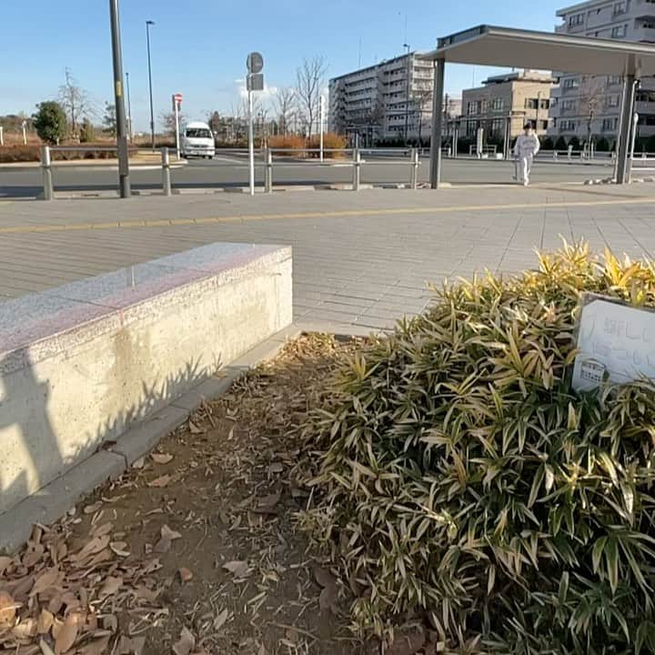 白井空良のインスタグラム