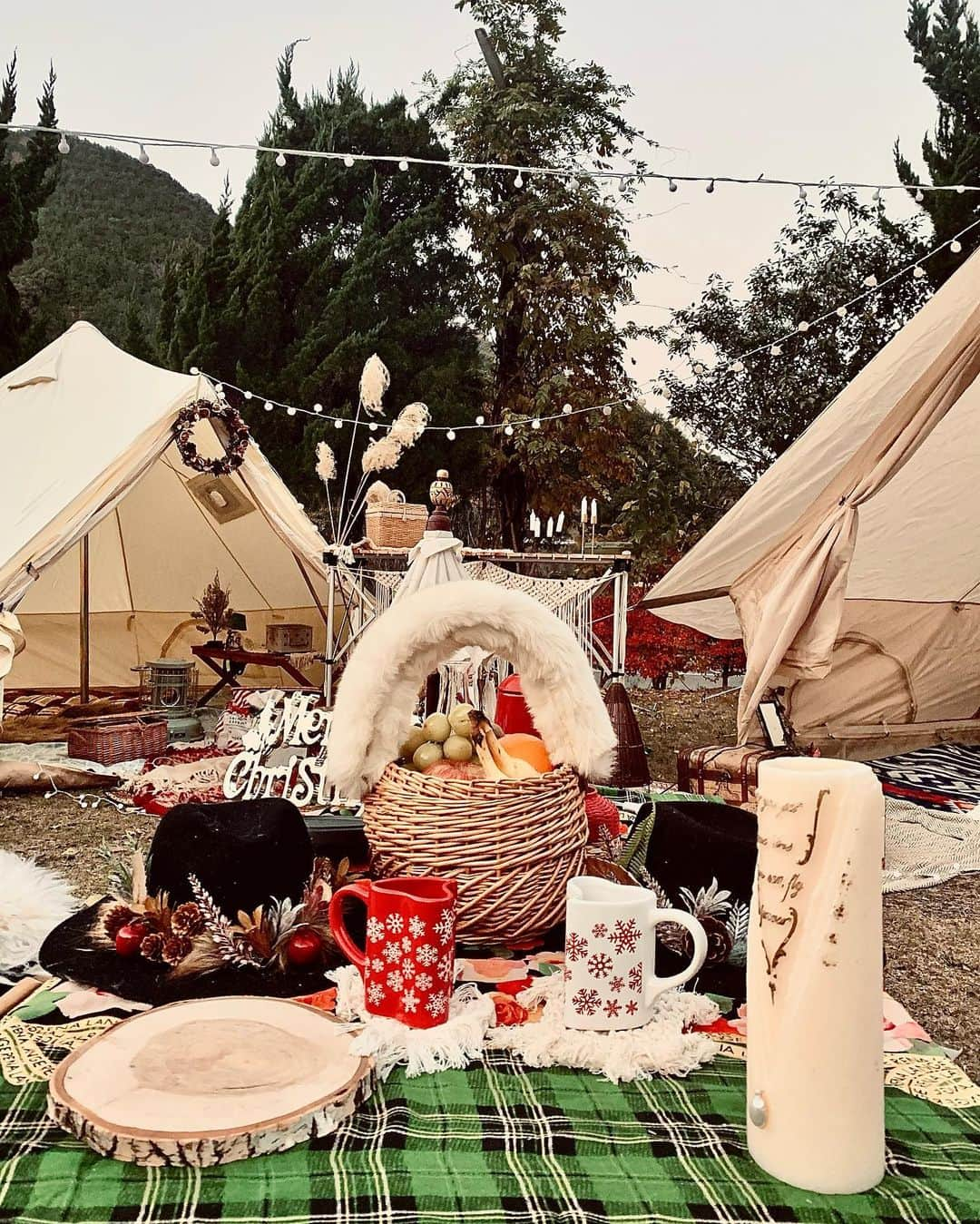 チアコマさんのインスタグラム写真 - (チアコマInstagram)「クリスマスキャンプ🏕❤︎﻿ メリークリスマス🎄🎁❤️﻿ ﻿ ﻿ #christmas #クリスマス﻿ #クリスマスイブ　#christmascamp﻿ #camper #オシャレキャンプ　#グランピング　﻿#クリスマスキャンプ  #グランピングテント﻿ #女子キャンプ　#キャンパーさんと繋がりたい #女子キャンプ #キャンプ女子 #キャンプ女子と繋がりたい #camplife #camp_outdoor_jp #campic掲載 #campgear #camping #camphack取材  #camjyo #キャンジョ」12月25日 15時49分 - chia_koma