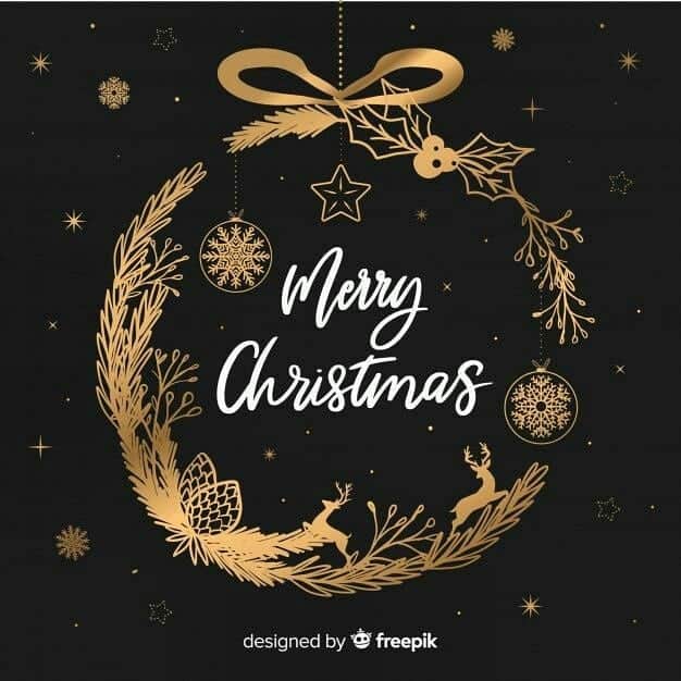 のインスタグラム：「May the spirit of Christmas bring you and your family hope,love and happiness. Merry Christmas from Toiro Family 🎄」