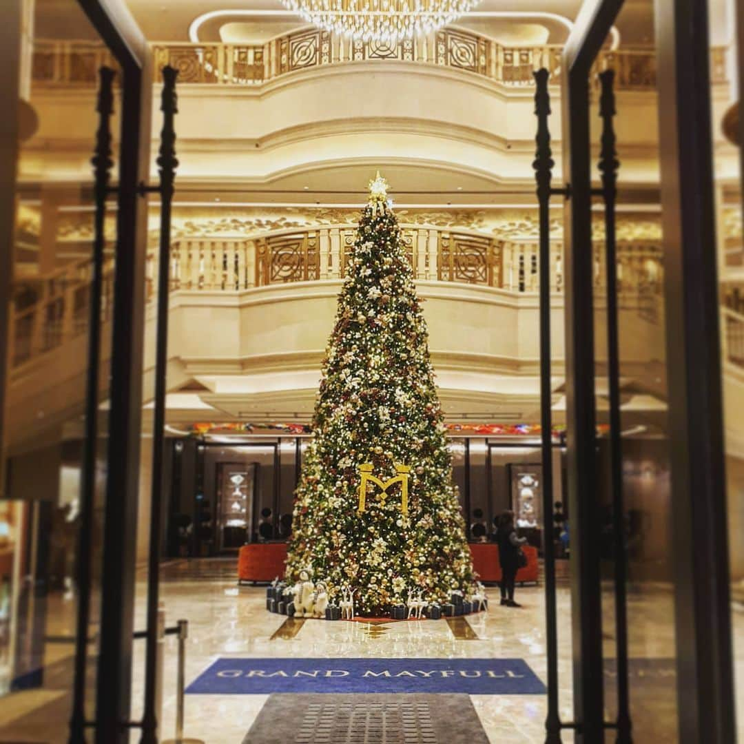 桿子 Drumstickさんのインスタグラム写真 - (桿子 DrumstickInstagram)「#mayfull #🎄 #自助餐 #christmastree  #christmas」12月25日 16時43分 - drumsticktw