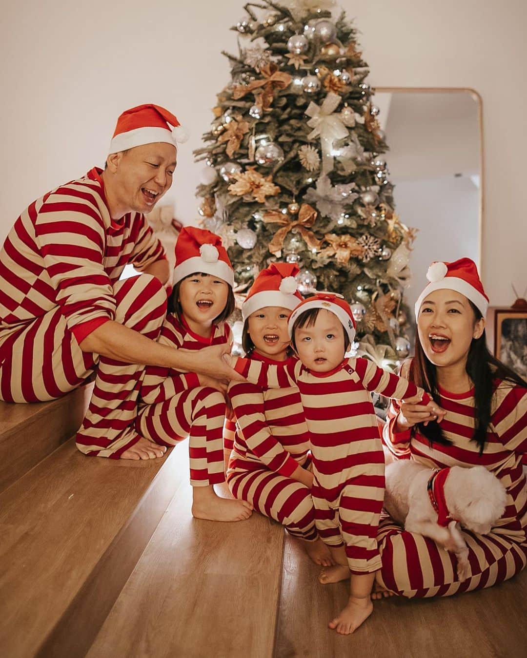 MOMOツインズのインスタグラム：「There is always one who makes the family portrait perfect.  Merry Christmas from the Loks! Hope you guys are having a better time than Luke 🤣   #christmas2020 #rolleyes」