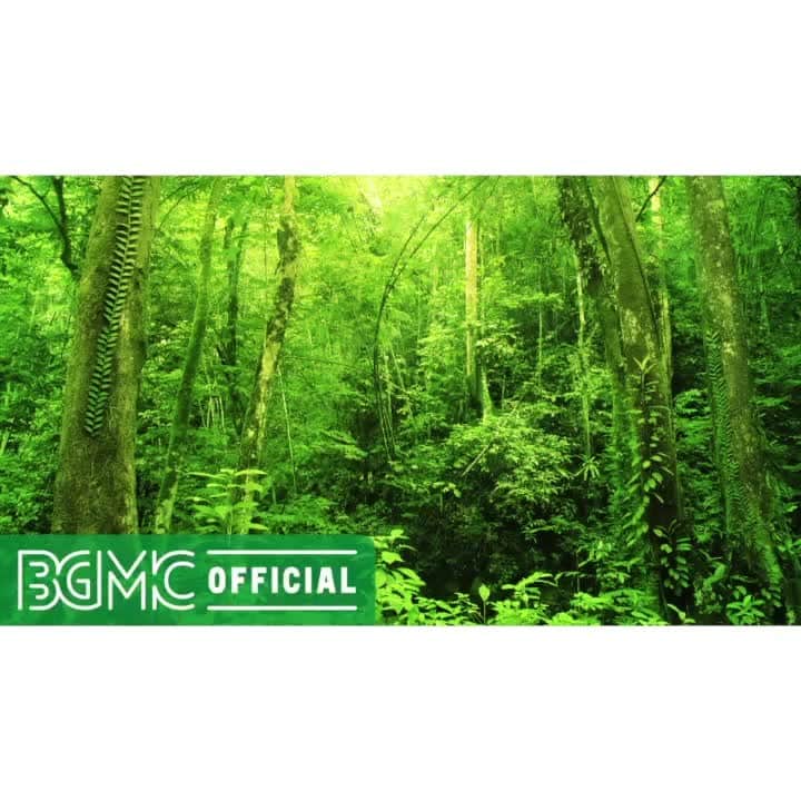 Cafe Music BGM channelのインスタグラム