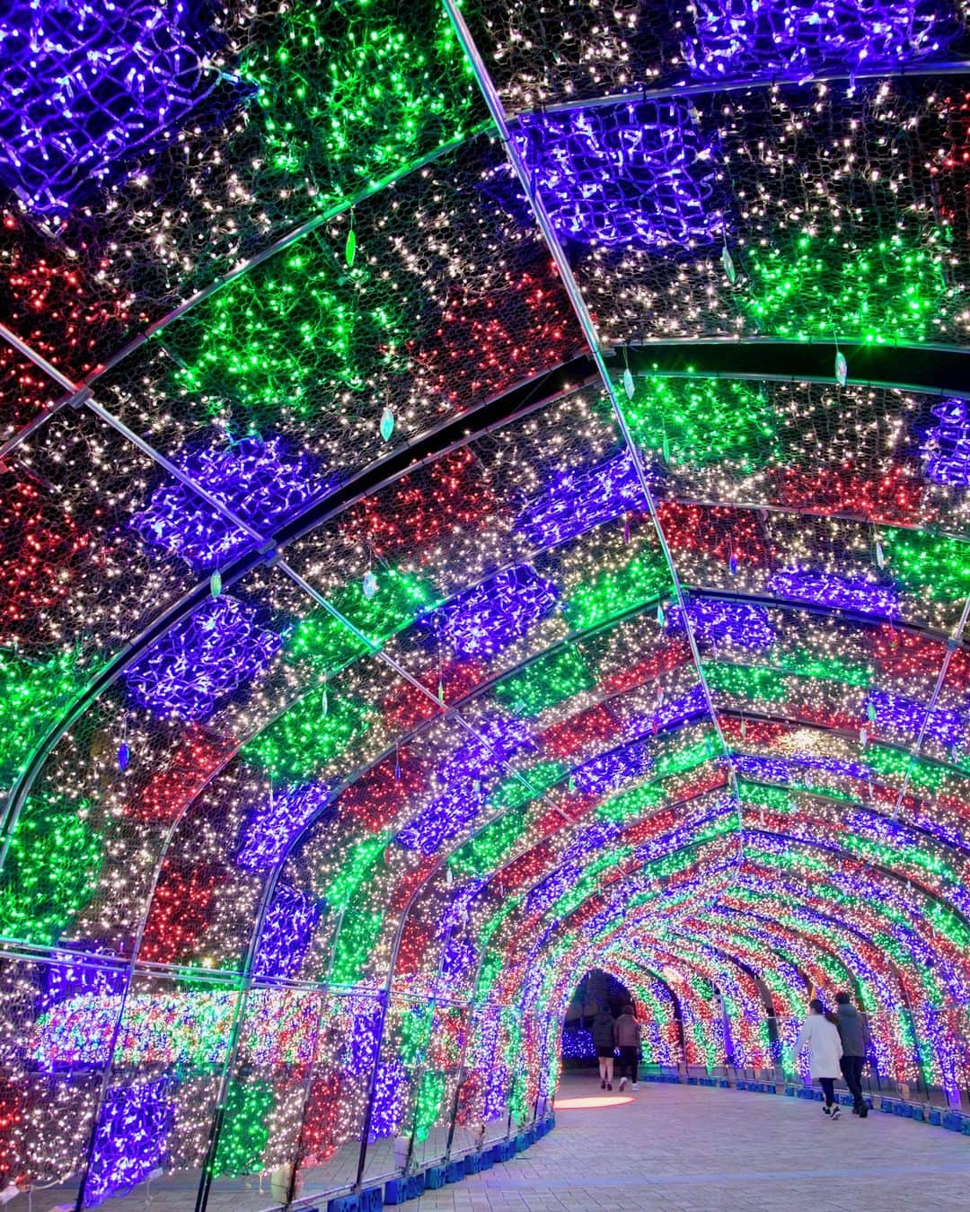 九州電力さんのインスタグラム写真 - (九州電力Instagram)「まるで万華鏡を覗いているかのような光り輝く空間🌟⁣ .⁣ 「天文館公園」では、約100万球のLED電球で生み出される色彩豊かなイルミネーションが輝いています💡⁣ 万華鏡をイメージしたカレイドドームや、期間限定で光のトンネルを駆け抜ける「ファンタスティックトレイン」(有料)の運行も実施中🚂⁣ ※ファンタスティックトレインは、12月29日（火）まで⁣ .⁣ 天文館公園周辺のおすすめスポット☝✨⁣ イルミネーションの点灯期間中、グルメスタンプラリーが実施されています🏵️⁣ 天文館地区の参加店舗をまわって、食事をして豪華賞品にチャレンジ🎁⁣ .⁣ 📍天文館公園（鹿児島県鹿児島市）⁣ 🚗鹿児島市電「天文館通」電停から徒歩約2分⁣ .⁣ 気兼ねなくお出かけできる日が来るまで、お届けする九州の風景が、皆さまの元気や癒しになれば幸いです🍀⁣ 九電グループでは、「あしたプロジェクト～あしたを、しんじて、たすけあおう～」を展開しています。詳しくは、HPをご覧ください✨⁣ .⁣ #九電 #kyuden #九州の灯り #九州ぐらむ #広がり同盟 #九州旅行 #九州 #九州愛 #kyushu #鹿児島 #kagoshima #かごしま #鹿児島市#天文館 #天文館公園 #天文館ミリオネーション #ミリオネーション #イルミネーション #イルミネーション2020 #イルミネーション巡り #クリスマスイルミ #クリスマスイルミネーション2020 #ライトアップ #イルミネーション綺麗 #景色最高 #幻想的な空間 #インスタスポット #フォトスポット #tripgramjp #あしたプロジェクト」12月25日 17時01分 - kyuden_official
