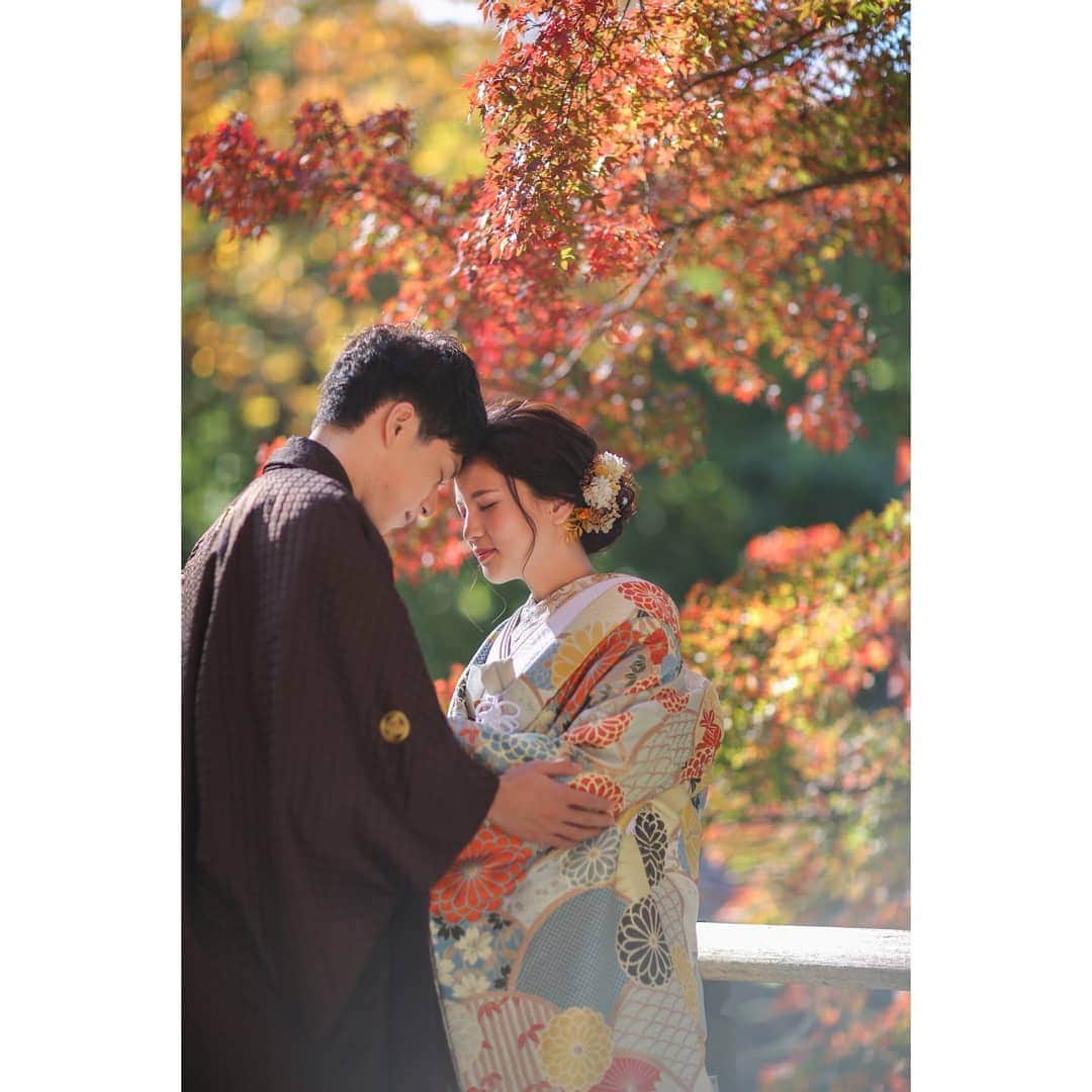 studioTVB NARAさんのインスタグラム写真 - (studioTVB NARAInstagram)「:﻿ 奈良には素敵なロケーションがたくさん！﻿ :﻿ 「撮る結婚式」で素敵な思い出も残しましょう﻿🦌 :﻿ お問い合わせお待ちしてます。﻿ :﻿ :﻿ ﻿ お2人のための結婚写真は、﻿ ぜひスタジオTVBで。﻿ :﻿ :﻿ 奈良店オフィシャルサイト﻿ http://www.studiotvb-nara.jp/﻿ :﻿ スタジオTVB奈良🦌 ﻿ :﻿ :﻿ ﻿ #2021春婚﻿ #2020冬婚﻿ #前撮り﻿ #後撮り﻿ ﻿ #ウェディングドレス﻿ #ウェディングフォト﻿ #フォトウェディング﻿ #花嫁ヘア﻿ #スタジオ前撮り﻿ ﻿ #花嫁さんと繋がりたい﻿ #プレ花嫁﻿ #奈良前撮り﻿ #日本中のプレ花嫁さんと繋がりたい﻿ #全国のプレ花嫁さんと繋がりたい﻿ #オシャレさんと繋がりたい﻿ #スタジオTVB奈良店﻿ #奈良公園﻿ #色打掛﻿ #白無垢﻿ ﻿ #marry花嫁﻿ #関西花嫁﻿ #ドライフラワー﻿ #wedding﻿ #ヘアメイク﻿ #結婚式﻿ #ロケーション撮影﻿ #鹿﻿ #撮る結婚式﻿ #大阪前撮り撮影」12月25日 17時05分 - studiotvb_nara