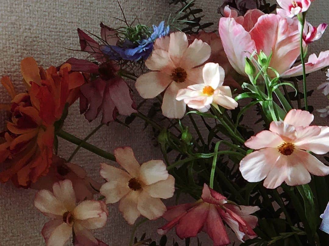 マエガミマミのインスタグラム：「🌷🌼🌹🌻🌺🌷🌼🎄」