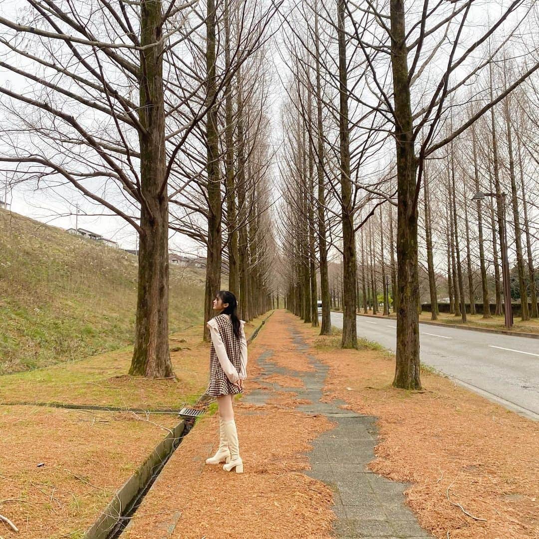 林芽亜里さんのインスタグラム写真 - (林芽亜里Instagram)「🎀﻿ ﻿ メタセコイア並木。﻿ ﻿ 今は落ち葉だけど、紅葉シーズンは綺麗な並木道になるみたい🧐🌳﻿ ﻿ 冬に雪が積もったら韓国ドラマの｢冬のソナタ｣気分になれるんだって~⛄﻿ ﻿ 紅葉シーズン、冬にも行ってみたいな~💡﻿ ﻿ #ニコラ #林芽亜里」12月25日 17時21分 - meari__hayashi