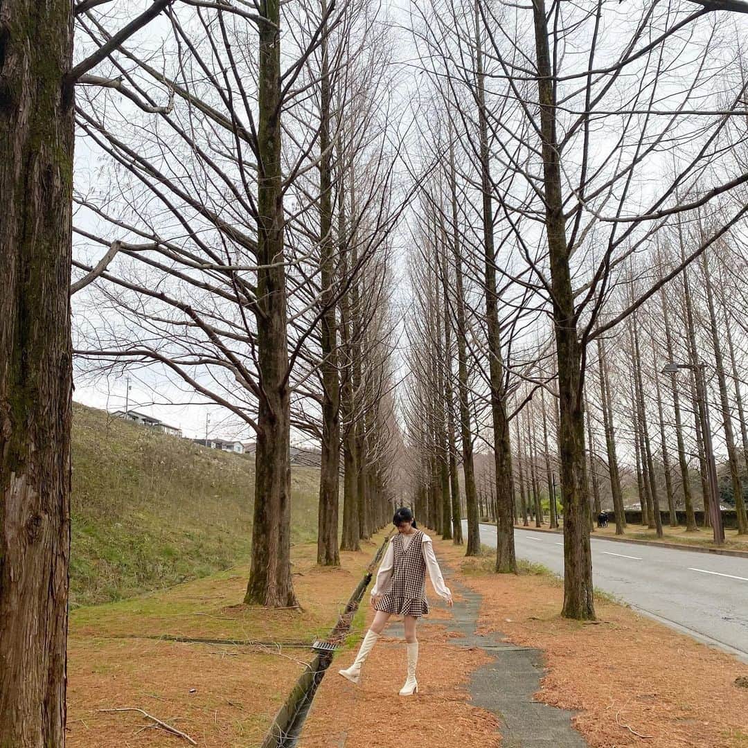 林芽亜里さんのインスタグラム写真 - (林芽亜里Instagram)「🎀﻿ ﻿ メタセコイア並木。﻿ ﻿ 今は落ち葉だけど、紅葉シーズンは綺麗な並木道になるみたい🧐🌳﻿ ﻿ 冬に雪が積もったら韓国ドラマの｢冬のソナタ｣気分になれるんだって~⛄﻿ ﻿ 紅葉シーズン、冬にも行ってみたいな~💡﻿ ﻿ #ニコラ #林芽亜里」12月25日 17時21分 - meari__hayashi
