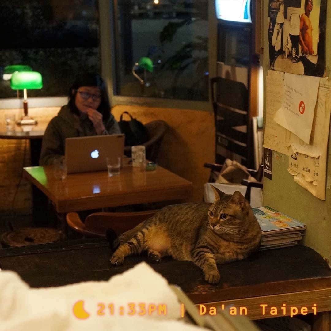 HereNowのインスタグラム：「A space to enjoy coffee, music, and time with a cat until late at night  📍：Lechat cafe（Taipei）  "Just as the name of the shop implies, this café is nestled quietly on the roadside. The personality of the owner is reflected throughout the unique shop, and can be seen through the in-store antique furniture, vintage fixtures, and menu written with chalk on the wall." Queena Lin  #herenowcity #herenowtaipei #taipei #台湾 #台北 #台北旅行 #대만 #대만여행 #타이베이 #iseetaiwan #exploretaiwan #vscotaiwan #taiwangram #台灣 #instapassport #nightlifephotography #urbanography #streetgrammer #citykillers #urbexplaces #urbanstreet #urbanstreetwear #nightvibes #nightmood #neonnight」