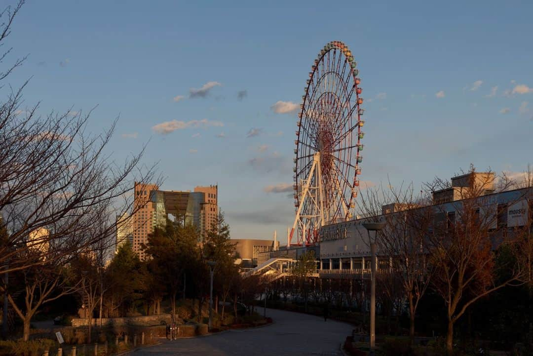 東京都庁広報課さんのインスタグラム写真 - (東京都庁広報課Instagram)「「シンボルプロムナード公園／Symbol Promenade Park (2020.12.15撮影)」最寄駅：東京テレポート駅   　#お台場 #ヴィーナスフォート #観覧車 #パレットタウン #artbaytokyo #東京テレポート #青海  #tokyotokyo #tokyogram #moodygrams #jp_gallery #ptk_japan #gdayjapan #realtokyo #beautifuldestinations #tokyojapan #instatokyo #loves_nippon #phos_japan #bestjapanpics #cooljapan #japan_of_insta #photo_jpn #illgrammers #景色 #東京 #Tokyo #东京 #도쿄 #tokyogood」12月25日 17時15分 - tocho_koho_official