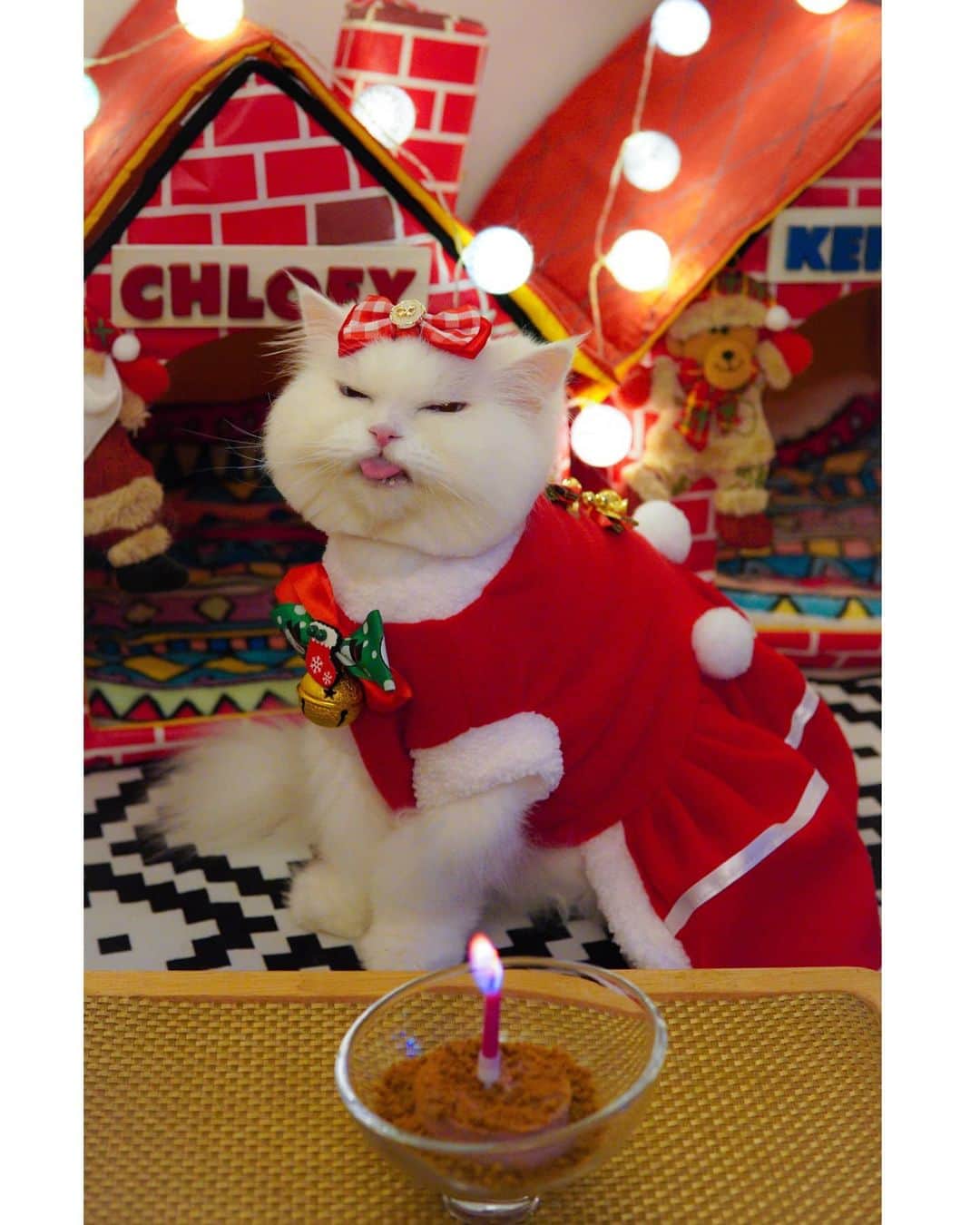Kenshin & Chloeyさんのインスタグラム写真 - (Kenshin & ChloeyInstagram)「🥳Happiest 14th Birthday to our precious sweet little girl😘 We love you very much! ❤🥂 #cheerstomoreyearstogether#ilovethisgirlsomuch」12月25日 17時18分 - kitty.chloeykenshin