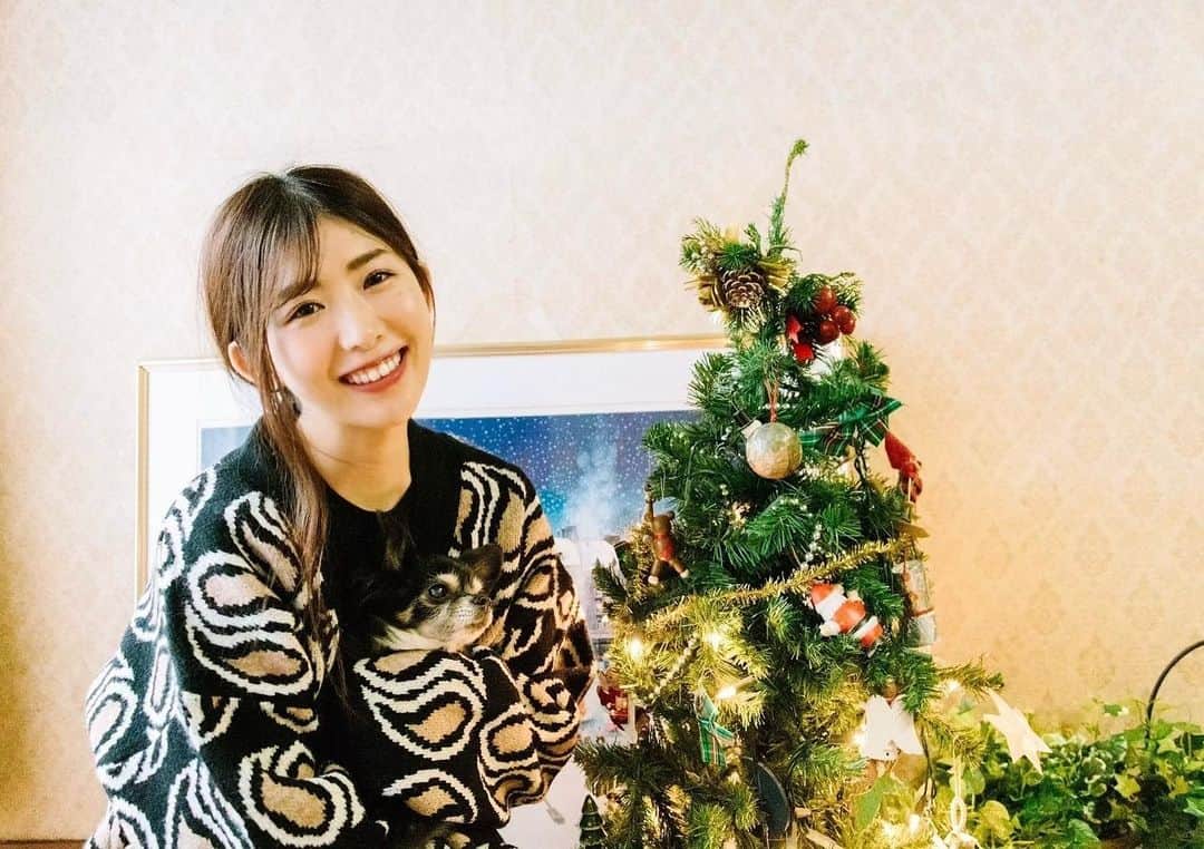 のインスタグラム：「Merry Xmas🎄✨ I spend with my baby🐶  わんこが柄にまみれています♡（こうゆう服本当にありそう🙆‍♀️） うちのマロン可愛いなぁ🐶💗  どんなクリスマスを過ごしていますか✨ 昔からよく聞かれますが、我が家は神社ですがクリスマスは大好きです⛩  色々飛び越えて全てを楽しむ！！ という日本の文化は独特ですが、私は好き♡  素敵な1日になりますように✨🎄🎁  photo 📷 @shidaayaka_  #merrychristmas#happyholidays#xmas」