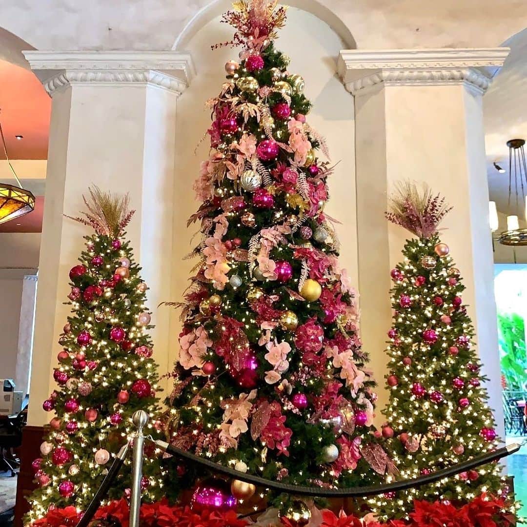 井上公造さんのインスタグラム写真 - (井上公造Instagram)「ハワイの友人から送られてきた「ロイヤルハワイアンホテル」のクリスマスツリー🎄。せめて、気分だけでもハワイ滞在😭  #クリスマスツリー  #ハワイ  #ロイヤルハワイアンホテル」12月25日 17時43分 - inouekozo39