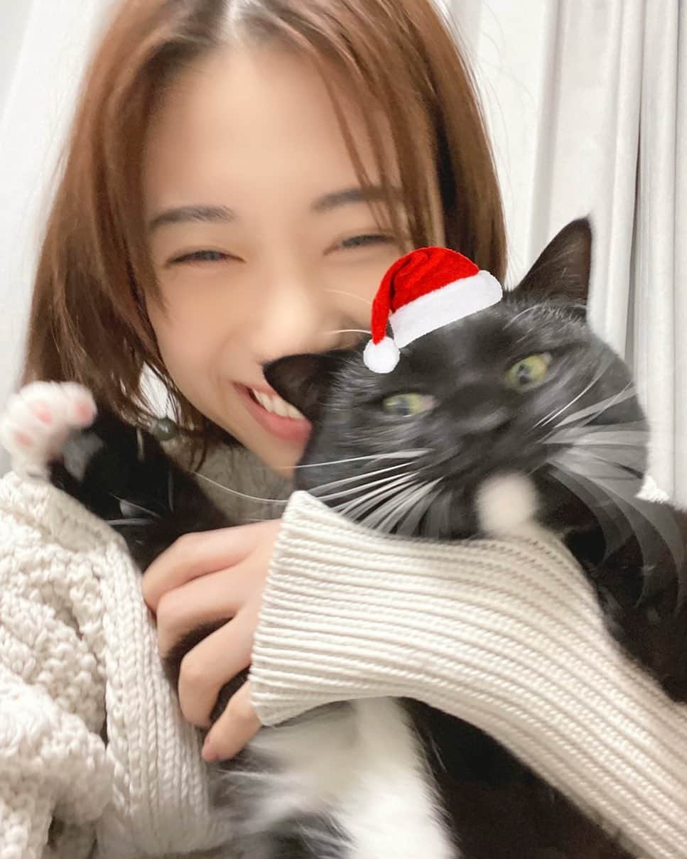 森川葵さんのインスタグラム写真 - (森川葵Instagram)「🎄🎁🐈‍⬛ Happy holidays!  みんなのところにはサンタさん来ましたかー？ キチは昨日うまいごはんを食べて満足そうです。」12月25日 17時56分 - aoi_morikawa0617