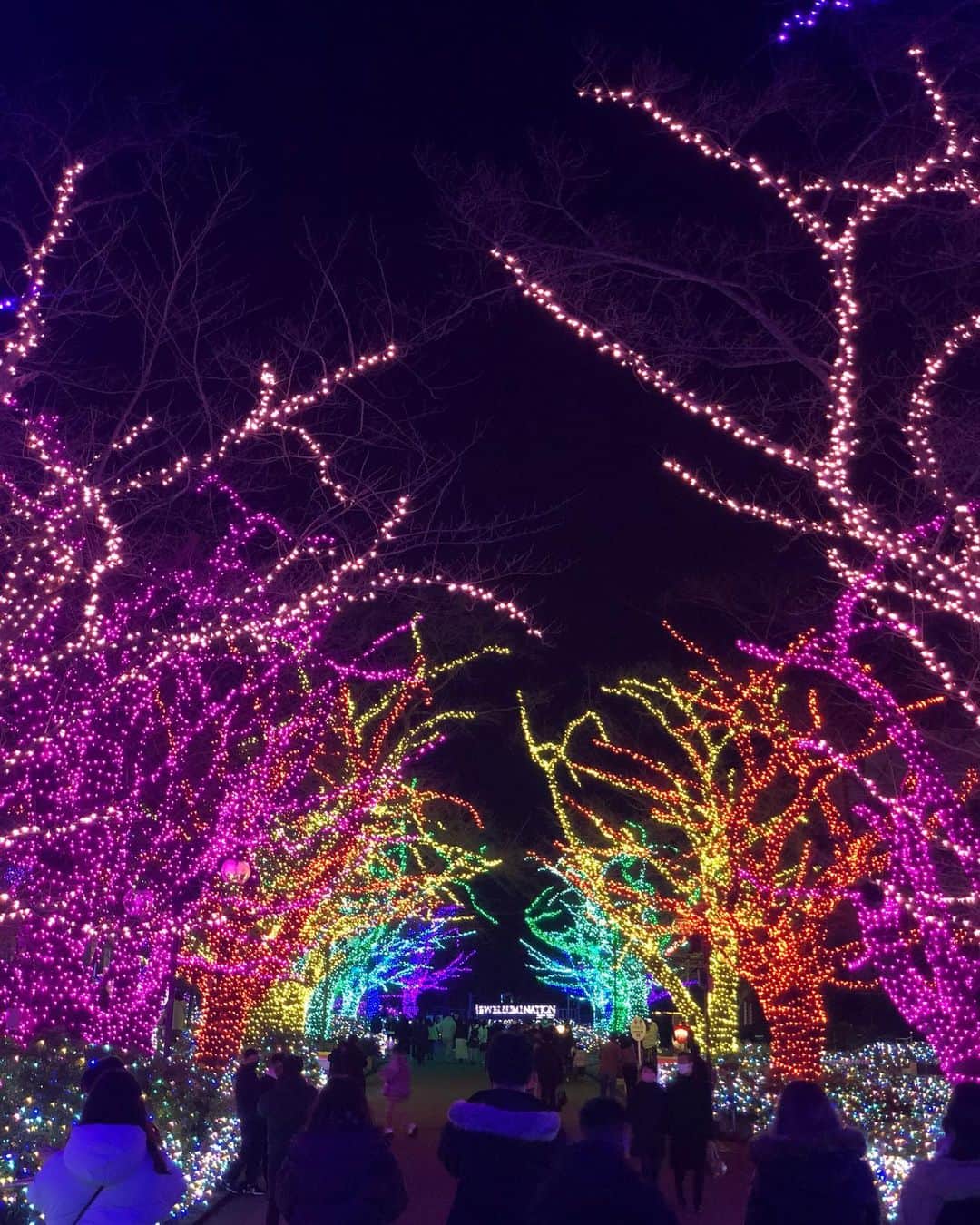 小坂温子さんのインスタグラム写真 - (小坂温子Instagram)「💖💖💖 #メリークリスマス  #イルミネーション」12月25日 17時57分 - kosaka_atsuko