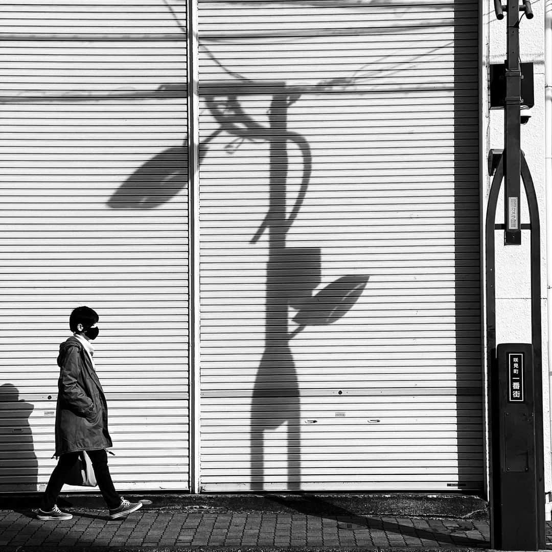 naotakeのインスタグラム：「街灯 - A street light / iPhone 12 Pro Max & Snapseed, 20201226 . . Merry Christmas!  一日も早く平穏な日々が来ますように。 . . #spicollective #royalsnappingartists #infamous_family #rsa_main #infinity_photo_cult #2_fineart #jp_gallery_member #jp_gallery_bnw #trb_bnw #wp_bnw  #bnw_life #bnwlife_member #bnw_life_shots #bnw_captures #world_bnw #top_bnw #team_jp_ #team_jp_モノクロ #ig_energy_bw #ig_nihon #streetphotographybnw #igersjp #blackandwhite #bnw #bnwphoto #monochrome #bw #bnwphotography #ShotOniPhone #shotoniphone12promax」
