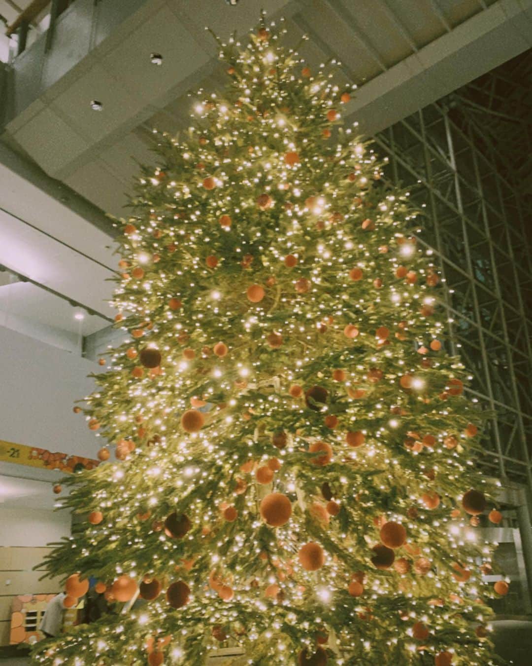 田中洸希さんのインスタグラム写真 - (田中洸希Instagram)「Merry X'mas  今年もクリスマスはお仕事でした🍷」12月25日 18時07分 - tanaka_koki_0227