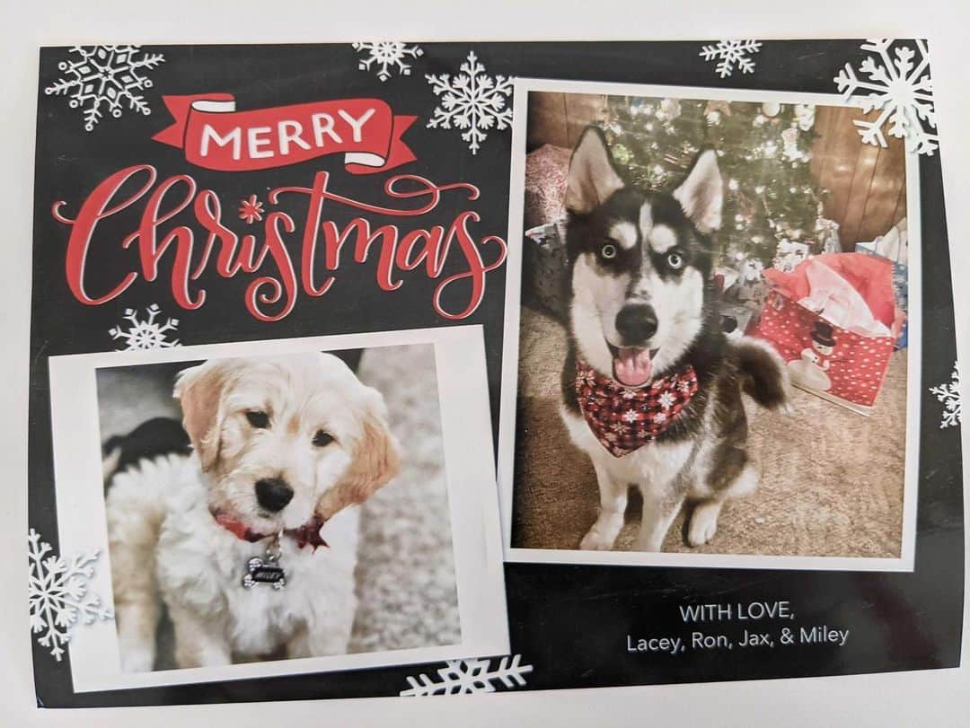 BarkBoxさんのインスタグラム写真 - (BarkBoxInstagram)「LOOK AT ALL THE XMAS CARDS WE GOT THIS YEAR (this is a smol portion!!) WE LOVE Y'ALL SO DANG MUCH. THANK YOU FOR LETTING US BE A LIL' PART OF YOUR FAMILY 😭❤️✨」12月26日 4時02分 - barkbox
