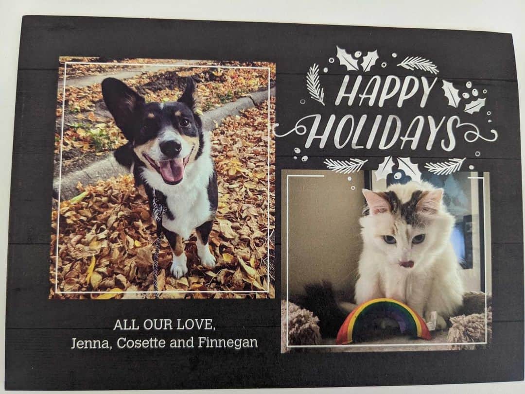 BarkBoxさんのインスタグラム写真 - (BarkBoxInstagram)「LOOK AT ALL THE XMAS CARDS WE GOT THIS YEAR (this is a smol portion!!) WE LOVE Y'ALL SO DANG MUCH. THANK YOU FOR LETTING US BE A LIL' PART OF YOUR FAMILY 😭❤️✨」12月26日 4時02分 - barkbox