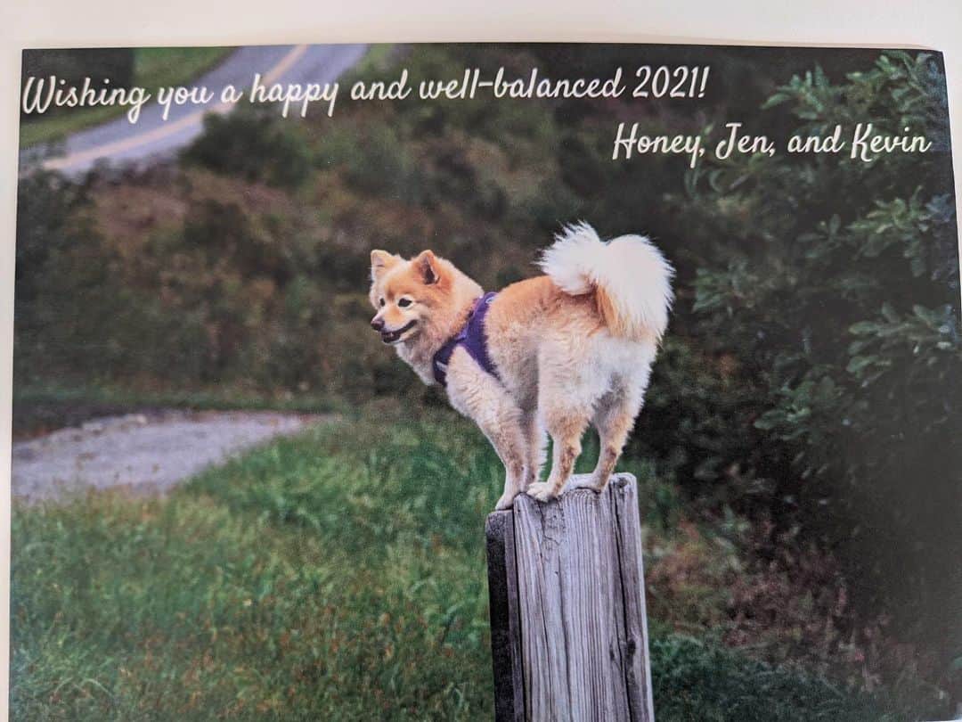 BarkBoxのインスタグラム：「LOOK AT ALL THE XMAS CARDS WE GOT THIS YEAR (this is a smol portion!!) WE LOVE Y'ALL SO DANG MUCH. THANK YOU FOR LETTING US BE A LIL' PART OF YOUR FAMILY 😭❤️✨」