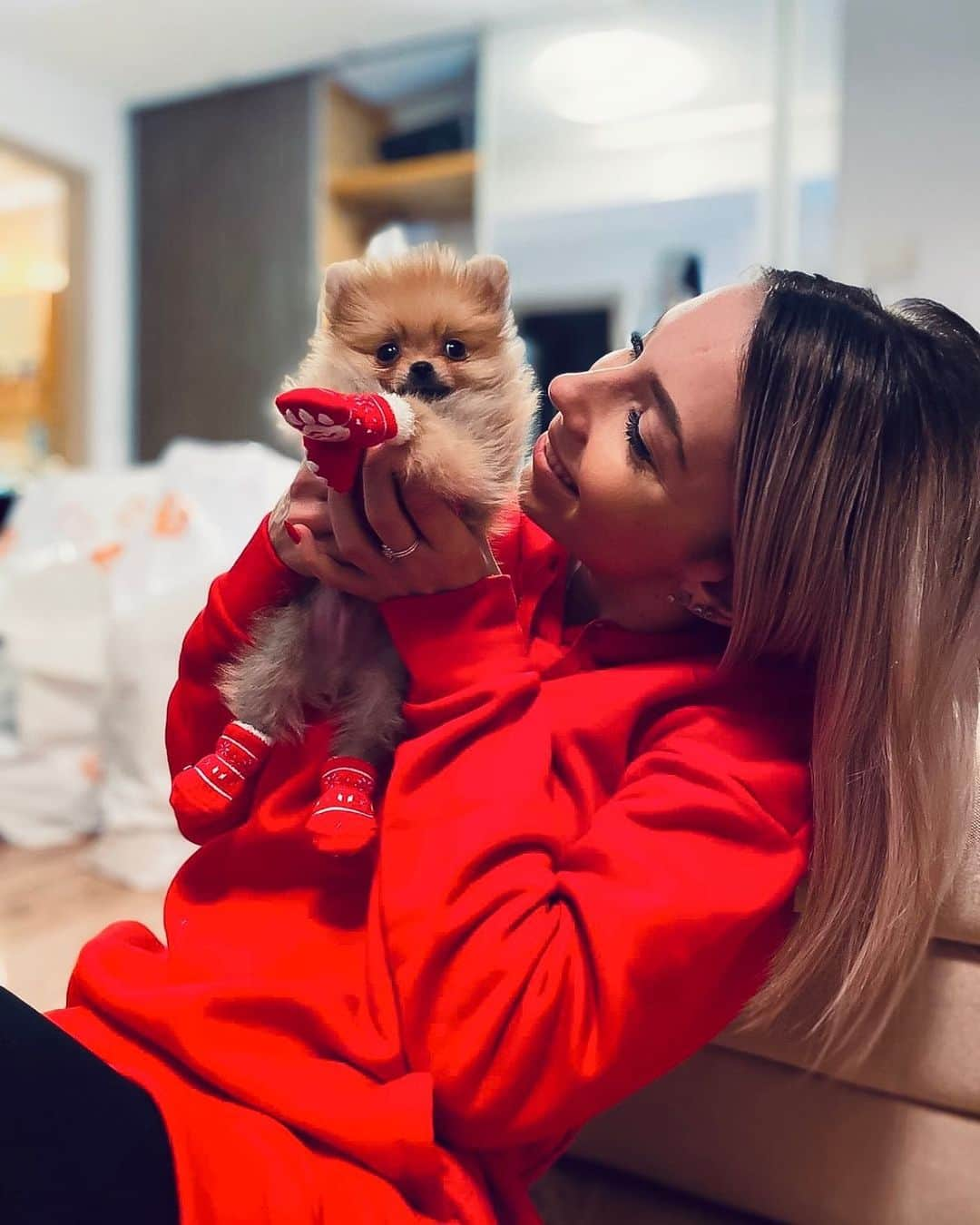 ベルナデッテ・スッチさんのインスタグラム写真 - (ベルナデッテ・スッチInstagram)「My baby boy Moxy 🐶❤️ #babydog #dog #pomerian #pomerianboo #mybaby #somuchlove #boy #pomerianboy💙 #Moxy #love #bestgiftever #christmas #christmastime #❤️ #🐶 #🎄#🎁」12月26日 4時48分 - szocsbernadettecynthia