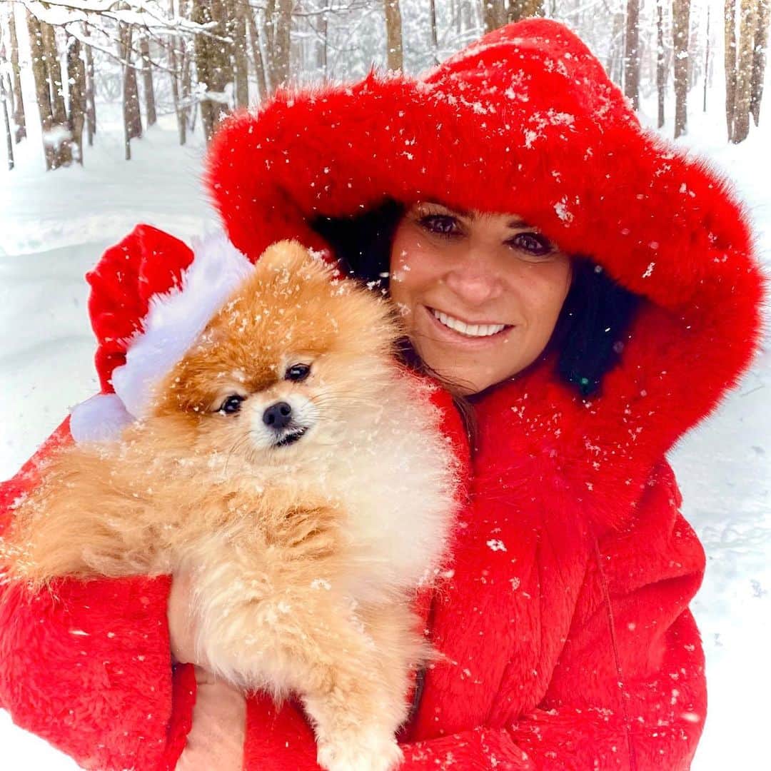 のインスタグラム：「Merry “white” Christmas everyone❄️🎅🏻So happy we got snow last night☃️Ginger doesn’t look too excited but it sure looks pretty, doesn’t it?!❤️」