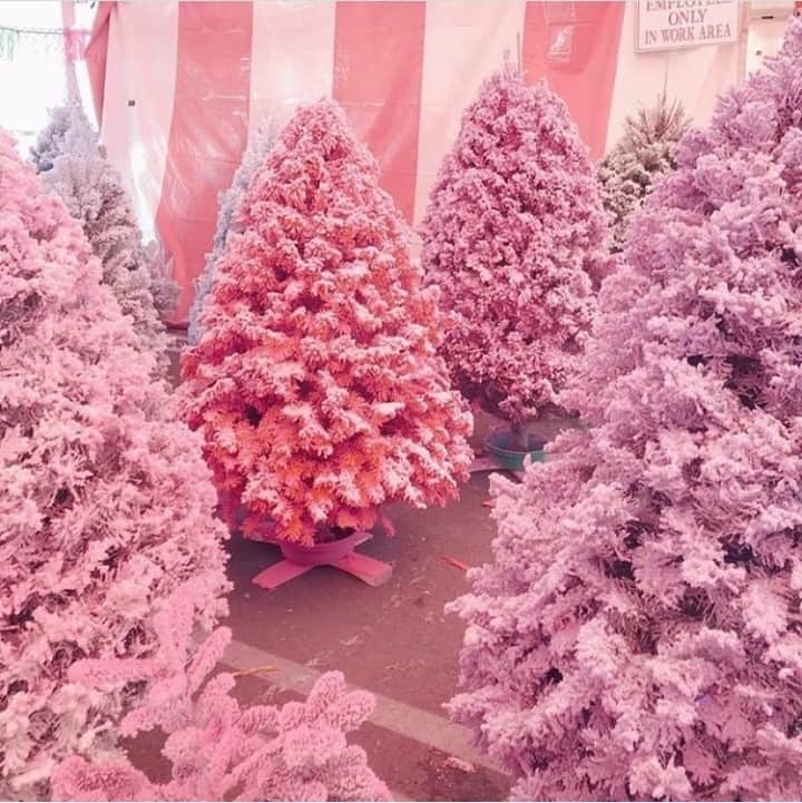 ワイルドフォックスクチュールさんのインスタグラム写真 - (ワイルドフォックスクチュールInstagram)「Wishing you a very Merry Wildfox Christmas! 💖#wildfoxcouture ⁠ ⁠ #christmas2020 #merrymerry #pinkmas #lovepink #pinkxmas⁠ ⁠ PC: @samswhurld」12月26日 5時02分 - wildfoxcouture