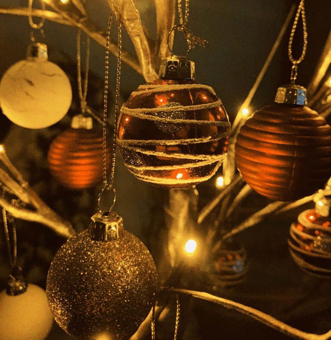 向井太一さんのインスタグラム写真 - (向井太一Instagram)「Happy holidays🎄🎁🎅 みんなそれぞれが素敵なクリスマスでありますように。」12月25日 20時17分 - iamtailjp
