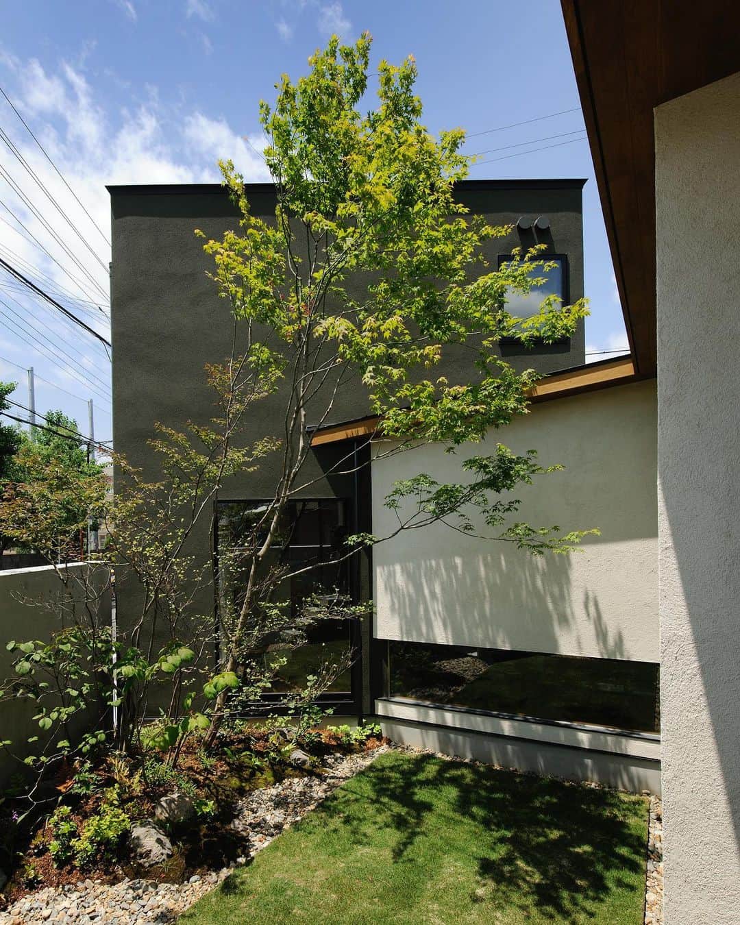ザウス住宅プロデュースのインスタグラム：「…中庭のある家：大阪    •  建物を花器に見立て繊細な樹木を用い、生け花のように配することで庭と建物の良さを引き立てています。 　　　 設計：株式会社フジハラアーキテクツ 撮影：杉野圭   　　　 #中庭のある家 #藤原誠司 #杉野圭 #荻野寿也 #ザウス#建築#建築家との家づくり#暮らしを楽しむ #home#architecture#design#zaus 　 Merry🎄✨Christmas  2020.12.25」