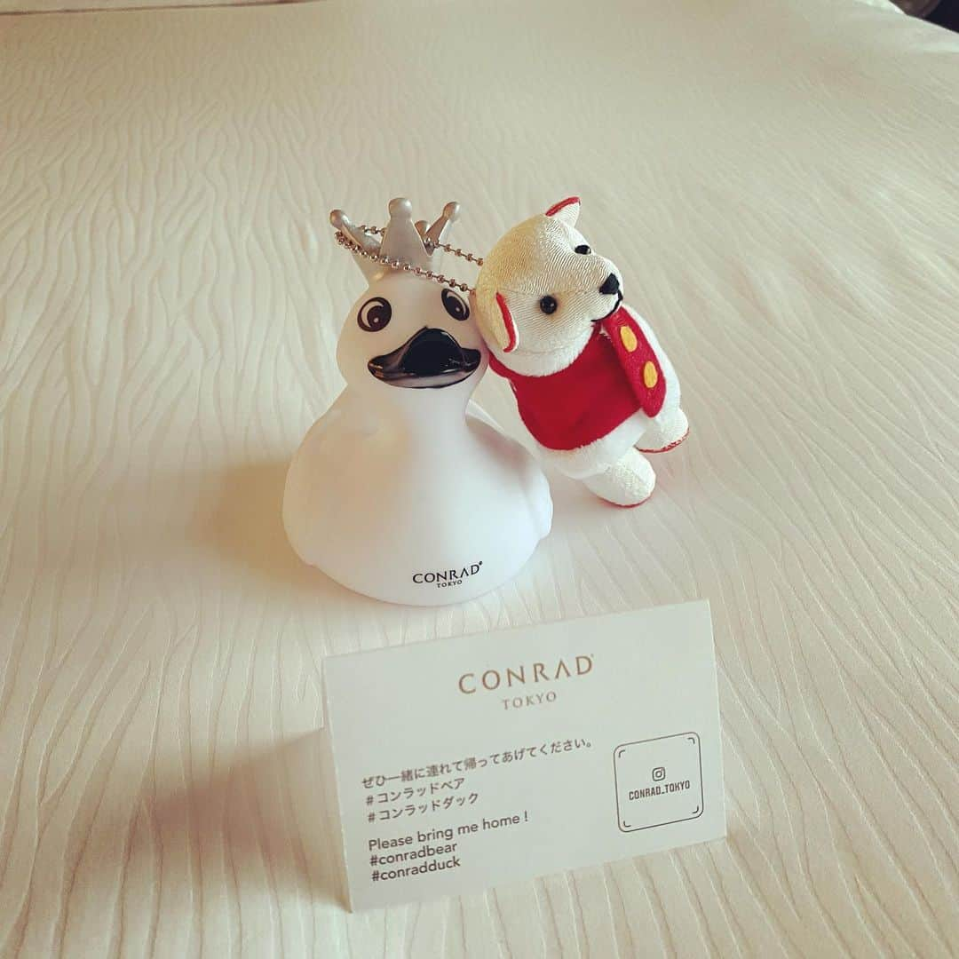 おつぽんのインスタグラム：「メリークリスマス🎅🎄  #コンラッドダック #コンラッドベア #コンラッド東京 #conradbear  #conradduck  #conladtokyo  #merrychristmas  #christmas  #クリスマス」