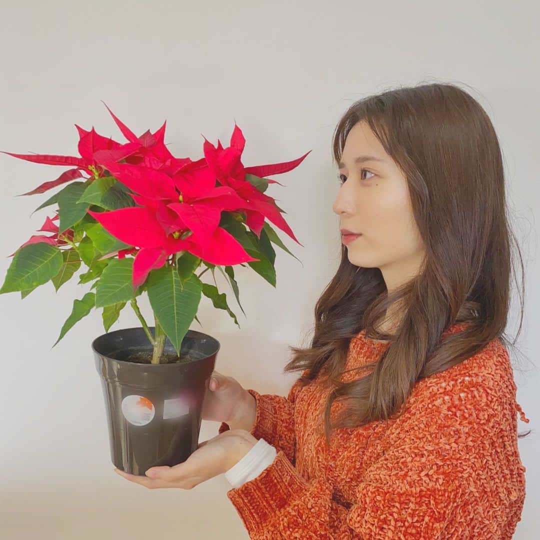 澤田侑里のインスタグラム