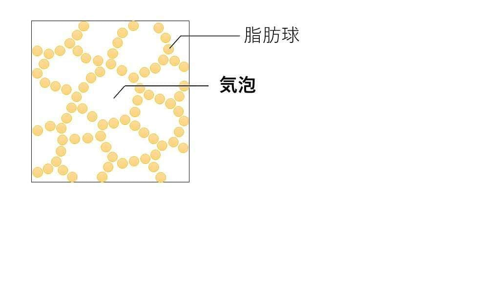 東京バイオテクノロジー専門学校のインスタグラム