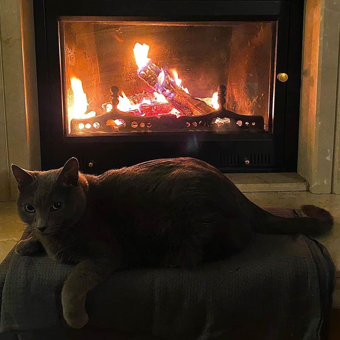 キム・ジェウクのインスタグラム：「Merry Christmas 🤶🧑🏼‍🎄🎅🏾」