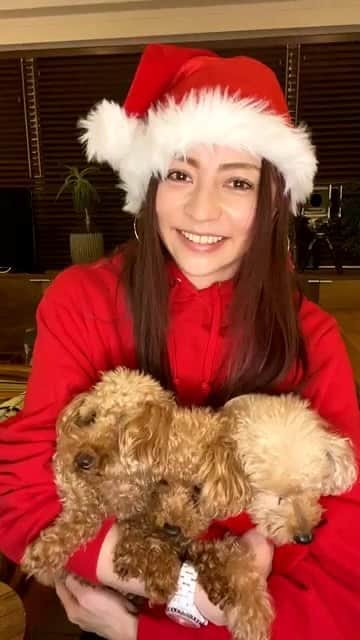 香里奈のインスタグラム