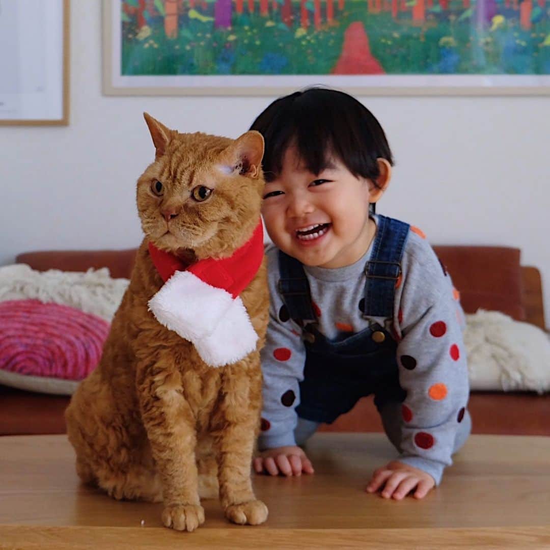 ギネス & ピムスさんのインスタグラム写真 - (ギネス & ピムスInstagram)「25/12/2020 Happy Friday! ・ Happy Christmas! Wishing you a very merry Christmas 🎅 ・ Lots of love, Guinness, Pimms and Nagi ・ ・ メリークリスマス！ 今朝凪ねこのところにも 無事サンタは来たようで、 朝から大喜びでした🎅 （後でストーリーあげる予定です！） それでは皆さま 引き続き 素敵なクリスマスをお過ごし下さい♫ ・ ・ #ギネピムと凪くん  #2yearsold #2歳 #2歳0ヶ月 #babyboy #男の子ベビー #赤ちゃんのいる生活 #赤ちゃんのいる暮らし #赤ちゃんと猫 #猫と赤ちゃん」12月25日 20時51分 - rina_takei