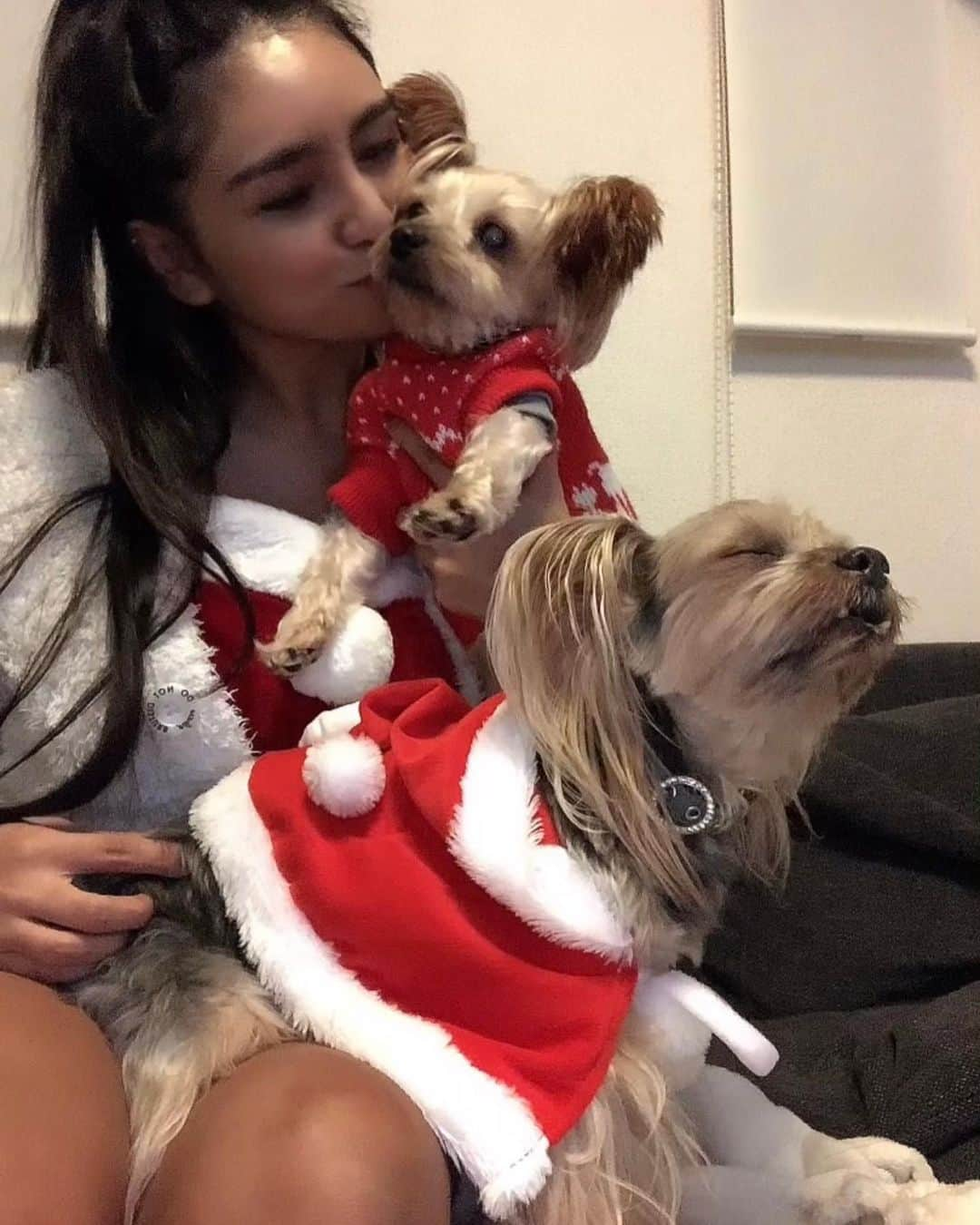 JennieBabyさんのインスタグラム写真 - (JennieBabyInstagram)「🎄❄☃🎅🎁💕🎂✨ HAPPY HOLIDAYS！ クリスマス、お仕事しない主義の私は 12月24,25日お休みとってゆっくり過ごしたよ✨ 去年のイブはディズニーシーだったけど、今年は人混み微妙だし、おうちパーティでした！ 犬たちもご馳走であからさまにご機嫌😂 24はチキンで、25は犬用ハンバーグプレート＆犬用豆乳ケーキ🍰💗 #happyholidays #merrychristmas #christmas2020 #yorksherterrier #yorkie #yorkiesofinstagram #yorkies #yorkielovers #dogstagram #doglover #ヨークシャテリア #ヨーキー #愛犬家 #多頭飼いの幸せ #ヨーキー多頭飼い #ロミオとリボン #romeoandribbon」12月25日 20時45分 - jennie.baby